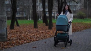 Anne ve bebek arabası sonbaharda parkta yürüyüşe çıkmış.