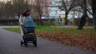 Anne ve bebek arabası sonbaharda parkta yürüyüşe çıkmış.