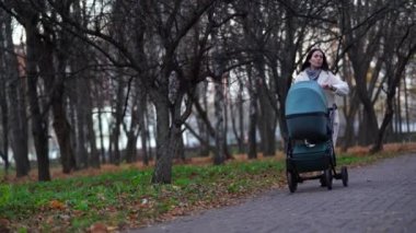 Anne ve bebek arabası sonbaharda parkta yürüyüşe çıkmış.