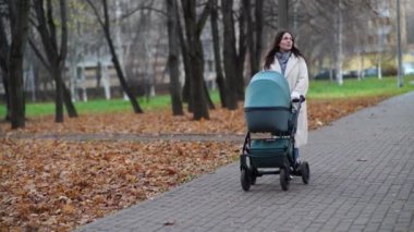 Anne ve bebek arabası sonbaharda parkta yürüyüşe çıkmış.