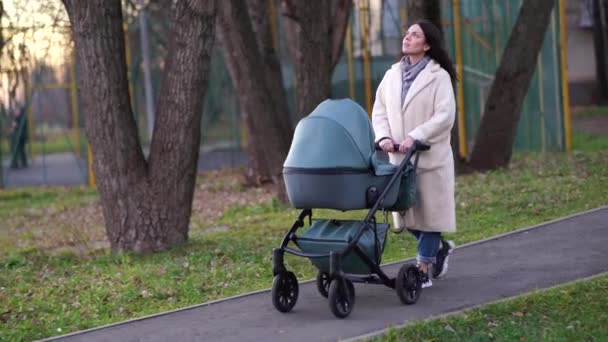 秋に公園を散歩するベビーカーの母親 — ストック動画