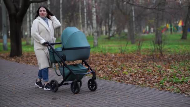 Mãe Com Carrinho Bebê Passeio Parque Outono — Vídeo de Stock