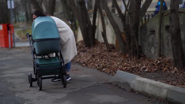 Madre con cochecito de bebé en un paseo por el parque en otoño — Vídeos de Stock