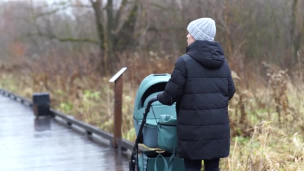 Jeune Mère Marchant Avec Enfant Landau Saison Automne — Video