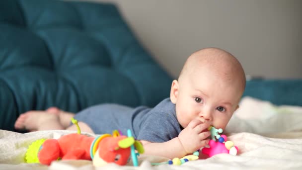 Month Old Active Baby Touching Toys Infant Baby Boy Playing — Video Stock