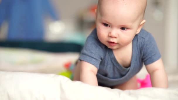 5ヶ月活動中の赤ちゃんのおもちゃに触れる。幼児男の子遊びますおもちゃを開発します上に横たわるソファ. — ストック動画
