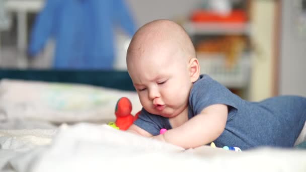 5 month old active baby touching toys. Infant baby boy playing with developing toys lying on sofa. — Stockvideo