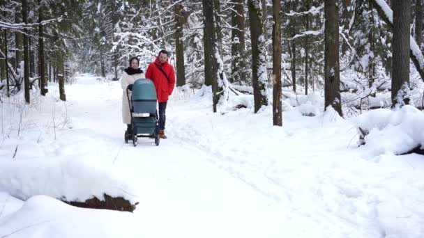 Jonge Familie Met Babywandelwagen Wandelt Een Winterbos — Stockvideo