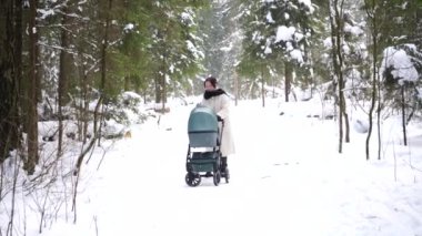 Genç anne kış ormanında bir bebek arabasıyla yürüyor..