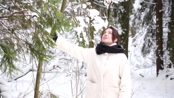 一个快乐的女孩从白雪覆盖的冷杉树上的雪地上抖下来 — 图库视频影像