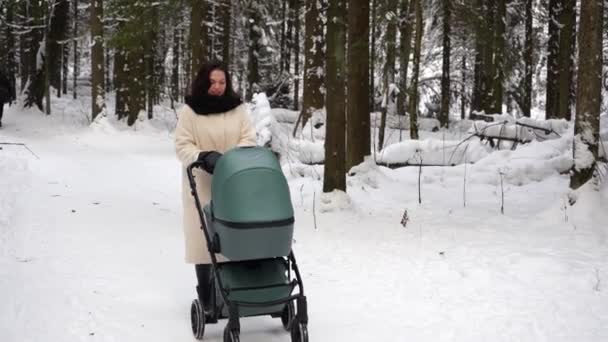 Joven Madre Está Caminando Con Cochecito Bosque Invierno — Vídeos de Stock
