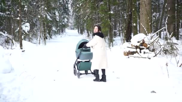 Joven Madre Está Caminando Con Cochecito Bosque Invierno — Vídeos de Stock