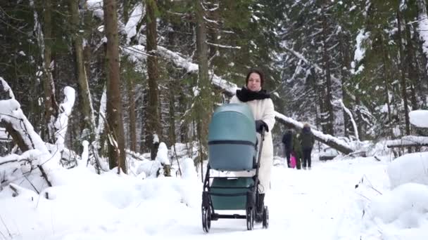 Молодая Мама Гуляет Коляской Зимнем Лесу — стоковое видео