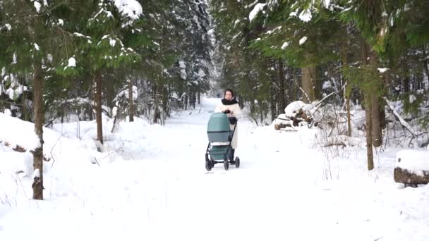 Genç Anne Kış Ormanında Bir Bebek Arabasıyla Yürüyor — Stok video