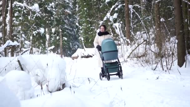Νεαρή Μητέρα Περπατά Ένα Καρότσι Στο Χειμερινό Δάσος — Αρχείο Βίντεο