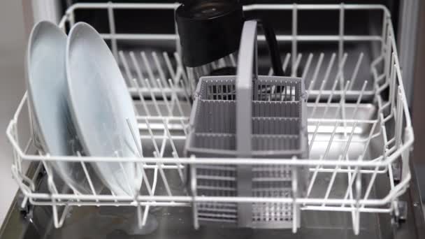Girl Puts Mugs Plates Cutlery Dishwasher — Stock Video