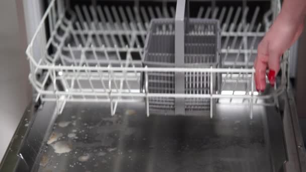Kız Bulaşık Makinesine Bardak Tabak Çatal Bıçak Koyuyor — Stok video