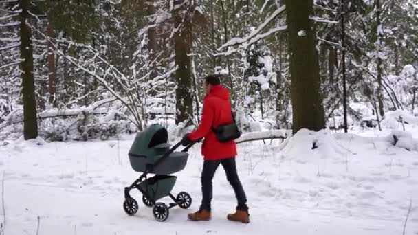 Папа Детской Коляской Прогулке Ребенком Зимнем Лесу — стоковое видео