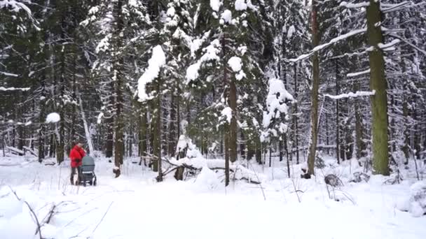 冬の森の中の赤ん坊と散歩している赤ん坊のベビーカーのお父さん — ストック動画