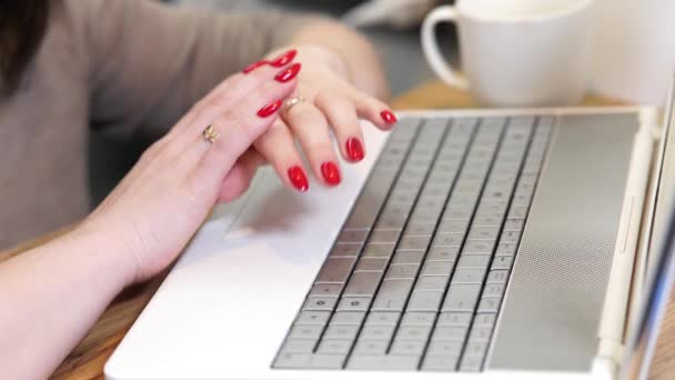 Wolny strzelec pracujący na laptopie w biurze. Zamknij kobiece dłonie. Dziewczyna pracuje przy laptopie. — Wideo stockowe