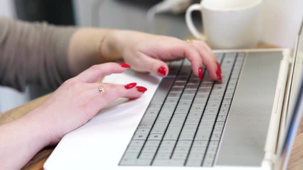 Wolny strzelec pracujący na laptopie w biurze. Zamknij kobiece dłonie. Dziewczyna pracuje przy laptopie. — Wideo stockowe