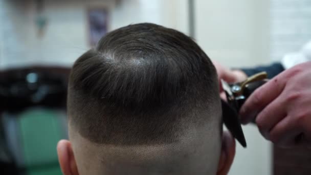 Barber Trimming Client's Hair Professional Hairdresser Doing New Haircut Beard — Stock Video © #545542260 Barber Trimming Client's Hair Professional Hairdresser Doing New Haircut Beard — Stock Video © #545542260