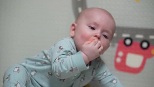 Ein Krabbelndes Lustiges Baby Hause Spielt Mit Spielzeug Junge Spielt — Stockvideo