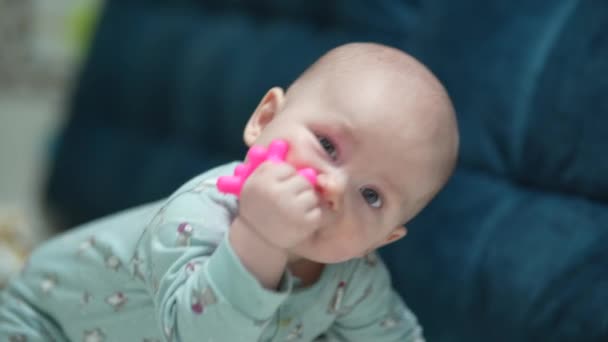 Bambino Divertente Strisciante All Interno Casa Giocare Con Giocattoli Bambino — Video Stock