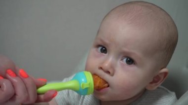 Çocuk beslemek için Nibbler sandalyesinde bebek maması. 7 aylık güzel bebek yaşını kapat ve kemirgen kullanarak meyve ye..