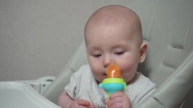 Çocuk beslemek için Nibbler sandalyesinde bebek maması. 7 aylık güzel bebek yaşını kapat ve kemirgen kullanarak meyve ye..