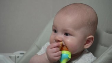 Çocuk beslemek için Nibbler sandalyesinde bebek maması. 7 aylık güzel bebek yaşını kapat ve kemirgen kullanarak meyve ye..