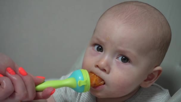 Comida Infantil Cadeira Alta Nibbler Para Alimentação Infantil Fechar Idade — Vídeo de Stock
