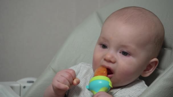 Comida Infantil Cadeira Alta Nibbler Para Alimentação Infantil Fechar Idade — Vídeo de Stock