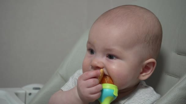 婴儿在高椅子上咀嚼食物 供小孩喂食 近距离接触7个月大的好孩子 用食肉动物吃水果 — 图库视频影像