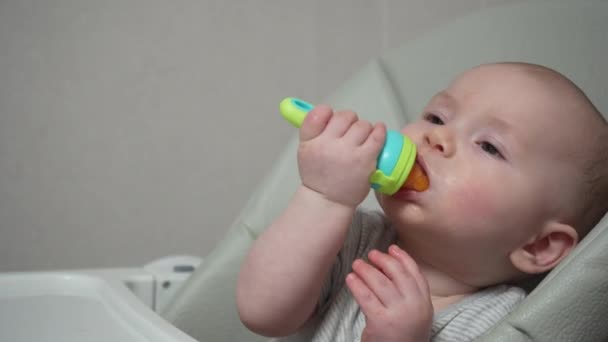 Spädbarnsmat Barnstol Nibbler För Barnmat Närbild Trevlig Baby Ålder Månader — Stockvideo