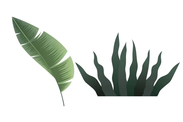 Силуэты Тропических Листьев Выделены Белом Фоне Векторная Иллюстрация — стоковый вектор