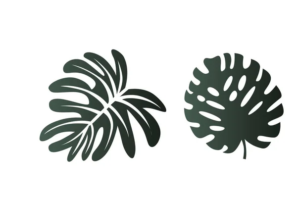 Силуэты Тропических Листьев Выделены Белом Фоне Векторная Иллюстрация — стоковый вектор
