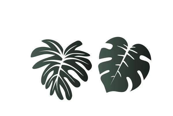 Feuilles Tropicales Silhouettes Isolées Sur Fond Blanc Illustration Vectorielle — Image vectorielle