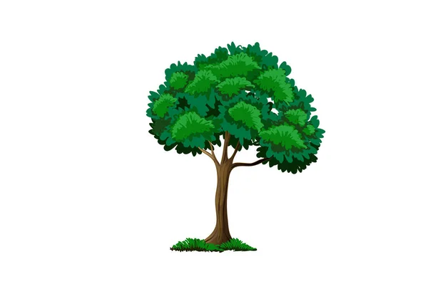 Tropik Palmiye Ağaçları Orman Doğasının Egzotik Tropikal Bitkileri Vektör Llüstrasyonu — Stok Vektör