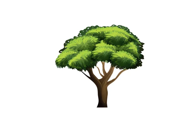 熱帯ヤシの木 エキゾチックな熱帯植物ジャングルの自然のイラスト ベクターイラスト — ストックベクタ