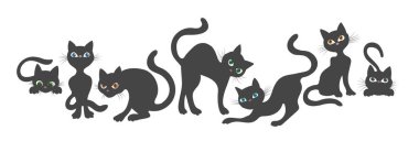 Meraklı kedi pozları