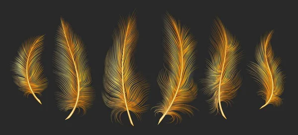 Золотые светлые перья Лицензионные Стоковые Иллюстрации