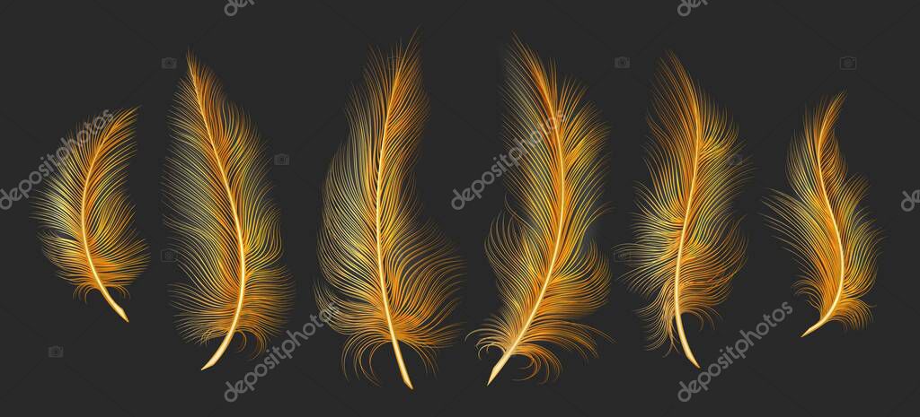Gold light feathers. Yellow fantessy feather set in dark for royal pillow, fantsay jewelry lighting plumage, golden angel bird feathering vector, magic idol feathered objects
