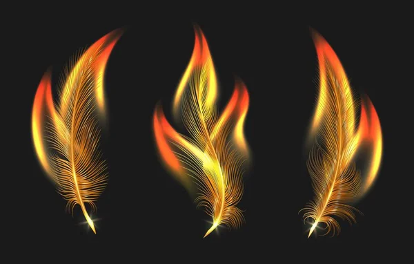 Burning feathers set — Stock Vector