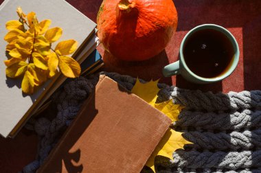 Çay ve sıcak bir battaniyenin yanında akçaağaç yaprağı yer imi olan eski bir kitap. En üst görünüm ve kitaba odaklanma.