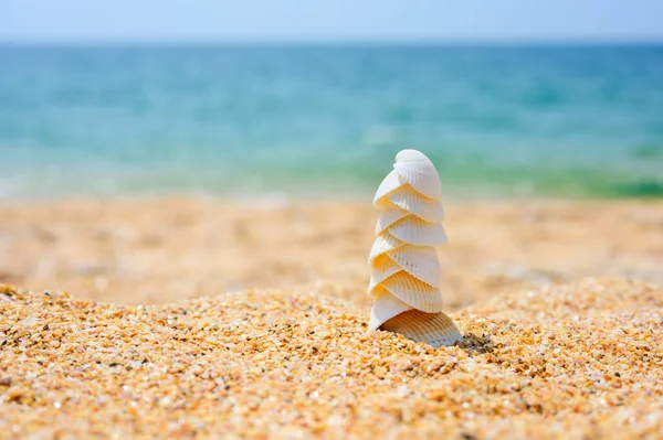 Uma Torre Feita Conchas Brancas Beira Mar Conceito Verão — Fotografia de Stock