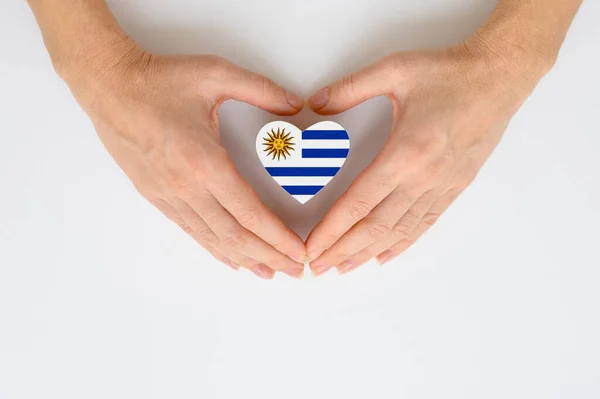Bandera Nacional Uruguay Manos Femeninas Concepto Patriotismo Respeto Solidaridad Con —  Fotos de Stock