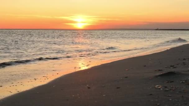 Kalme Zee Bij Zonsondergang Avondkust Zomer — Stockvideo