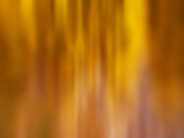 Panoramik bulanık yatay doğa puslu sonbahar manzarası. Sihirli bulanık okültürü sonbahar ormanı arka planı