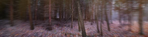 Рухи Широкому Форматі Пейзаж Осінньому Лісі Розмитий Дивний Осінній Ліс — стокове фото